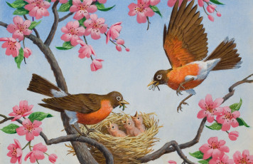 Картинка рисованное животные +птицы фрагмент arthur saron sarnoff птичка весна гнездо арт цветы