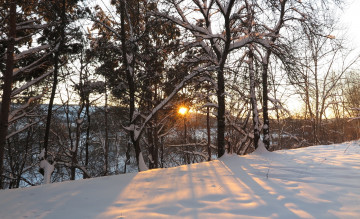 Картинка природа зима лучи деревья снег