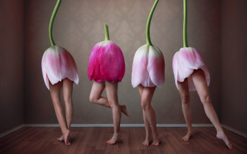 Картинка юмор+и+приколы тюльпаны цветы ножки танец