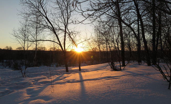 Обои картинки фото природа, восходы, закаты, снег, лес, закат