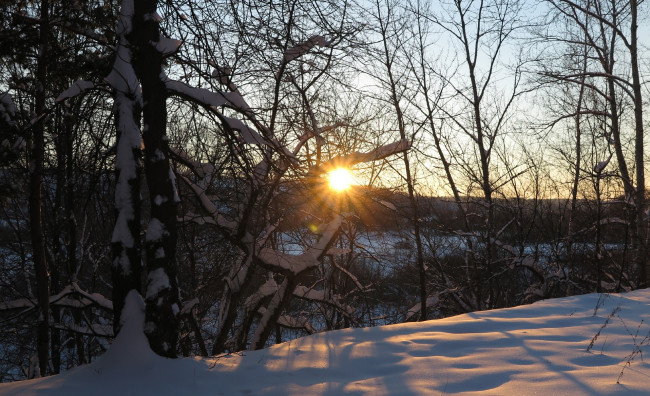 Обои картинки фото природа, зима, лучи, деревья, снег