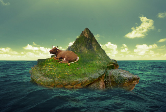 Обои картинки фото юмор и приколы, остров, черепаха, море, корова