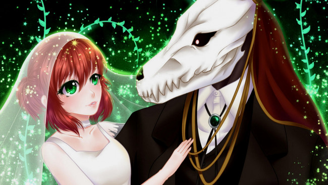 Обои картинки фото аниме, mahou tsukai no yome, невеста, чародея