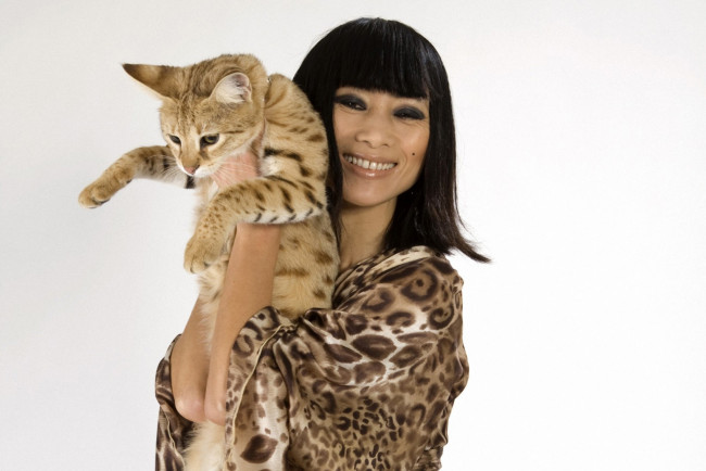 Обои картинки фото bai ling, девушки, bai, ling, девушка, модель, актриса, азиатка, брюнетка, макияж, взгляд, стройная, поза, мех, шуба, кошка