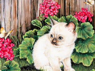 Картинка jane+maday рисованное животные +коты котенок цветы герань бабочка забор