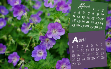 Картинка календари цветы сиреневый