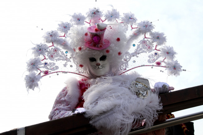 Обои картинки фото разное, маски, карнавальные, костюмы, мост, воротник, перья, кот, венеция, карнавал