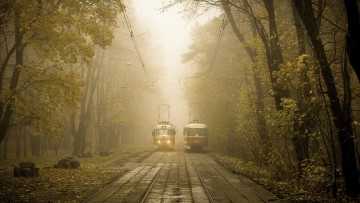 Картинка техника трамваи туман
