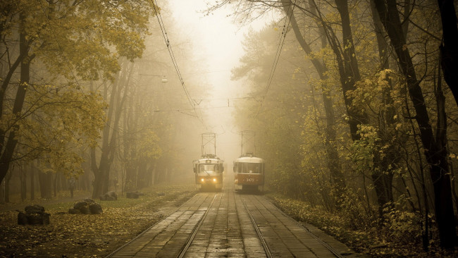 Обои картинки фото техника, трамваи, туман