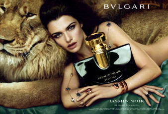 Картинка бренды bvlgari модель rachel weis ожерелье цепочка браслет кольца лев флакон духи актриса