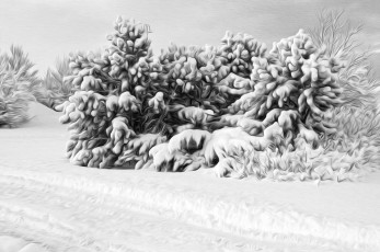 Картинка рисованные природа дорога лес снежная зима