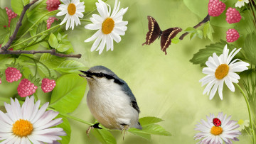 Картинка разное компьютерный+дизайн бабочка цветы малина птичка