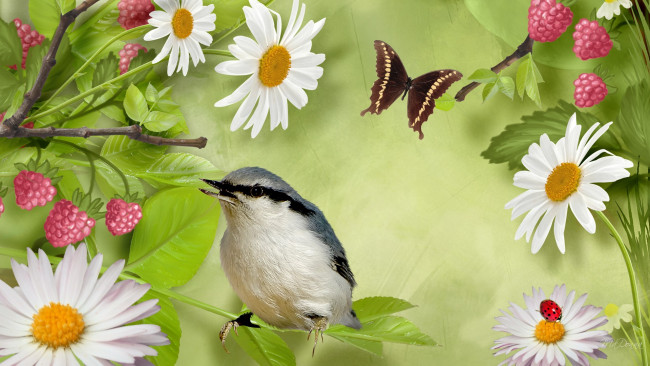 Обои картинки фото разное, компьютерный дизайн, бабочка, цветы, малина, птичка