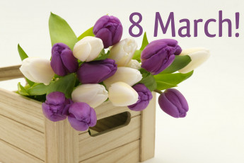 обоя праздничные, международный женский день - 8 марта, фон, цветы, 8, марта, международный, женский, день