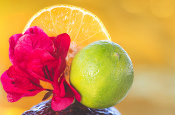 Картинка еда цитрусы цветы лайм апельсин