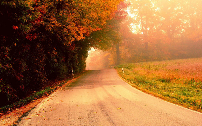 Обои картинки фото природа, дороги, дорога, осень, деревья