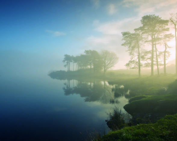 Обои картинки фото природа, побережье, озеро, туман, берег, деревья