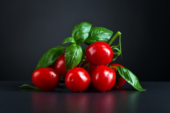 Картинка еда помидоры базилик томаты черри