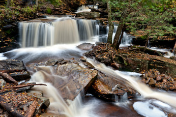 Картинка природа водопады ricketts glen state park pennsylvania