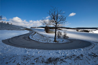 Картинка природа зима semriach дерево
