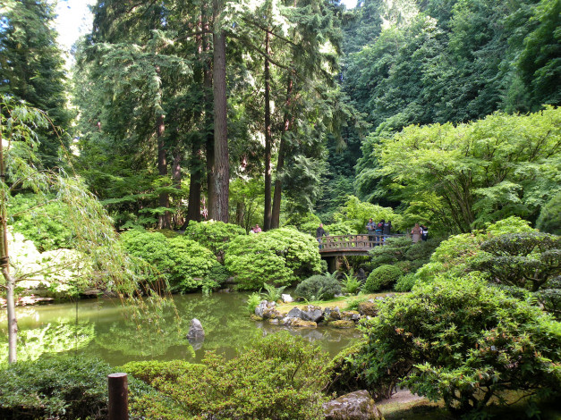 Обои картинки фото природа, парк, сша, gardens, portland, parks, oregon