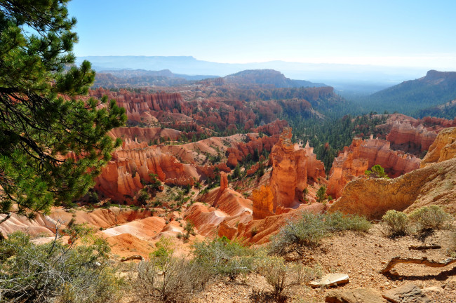 Обои картинки фото природа, горы, bryce, canyon, national, park, usa, utah