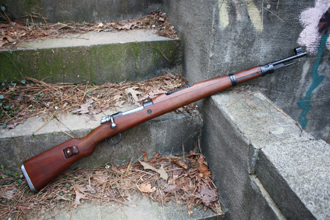 Обои картинки фото оружие, винтовкиружьямушкетывинчестеры, листья, m48, mauser, rifle, винтовка