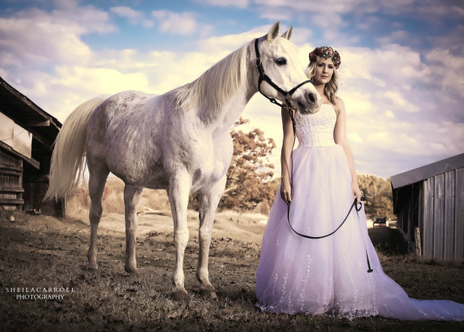 Обои картинки фото девушки, -unsort , блондинки, лошадь, невеста