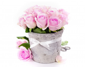 Картинка цветы розы много ваза бантик