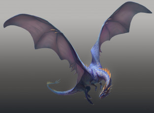 Картинка фэнтези драконы крылья дракон серый фон полёт синий когти