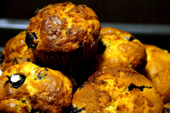 Картинка еда пирожные +кексы +печенье черничные маффины blueberry muffins