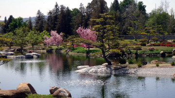 Картинка природа парк водоем камни цветы весна
