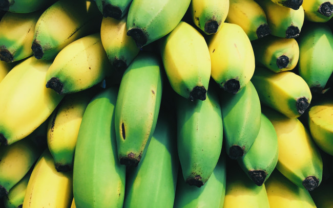 Обои картинки фото еда, бананы, много, незрелые