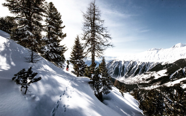 Обои картинки фото природа, зима, горы, снег, следы