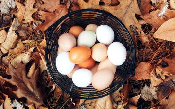 обоя еда, Яйца, корзинка, яйца, листья, осень