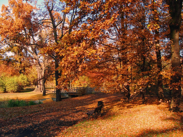 Обои картинки фото природа, парк, ручей, скамейка, деревья, листья, листопад, осень, забор