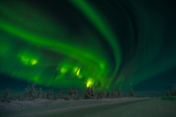 Картинка природа северное+сияние сибирь якутия россия северное сияние звёзды ночь деревья снег