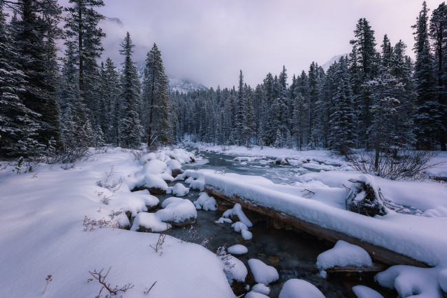 Обои картинки фото природа, реки, озера, река, снег, лес