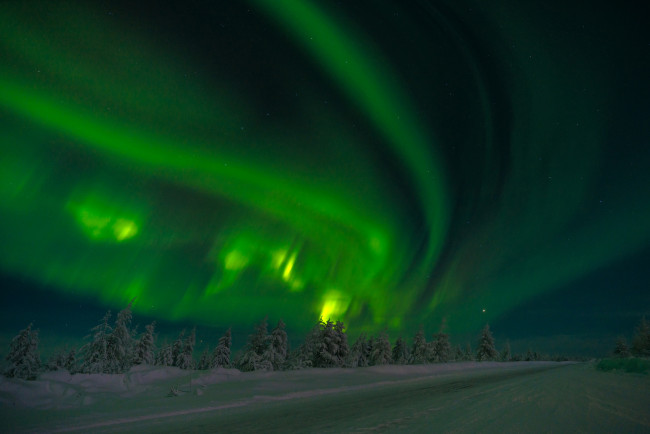 Обои картинки фото природа, северное сияние, сибирь, якутия, россия, северное, сияние, звёзды, ночь, деревья, снег