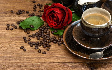 Картинка еда кофе +кофейные+зёрна роза чашка кофейные зерна блюдце