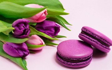 Картинка еда макаруны цветы букет тюльпаны flowers tulips purple macarons