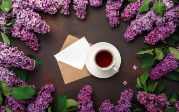 обоя еда, напитки,  чай, цветы, flowers, сирень, romantic, coffee, cup, spring, purple, lilac, чашка, кофе