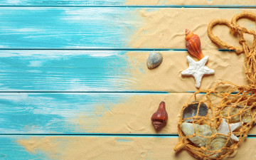 Картинка разное ракушки +кораллы +декоративные+и+spa-камни песок пляж beach wood sand marine still life starfish seashells