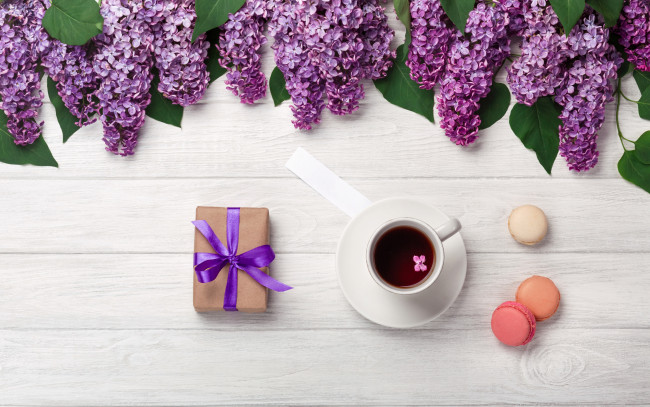 Обои картинки фото еда, кофе,  кофейные зёрна, цветы, flowers, сирень, romantic, coffee, cup, spring, purple, macarons, lilac, чашка, макаруны