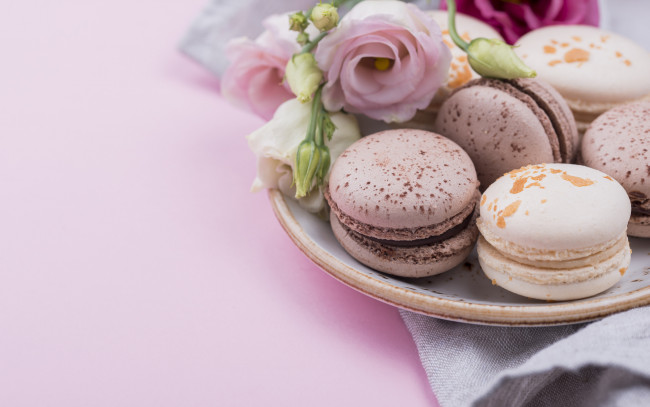 Обои картинки фото еда, макаруны, розы, печенье, тарелка, macarons