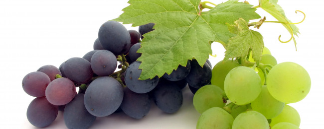 Обои картинки фото еда, виноград, грозди, макро