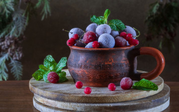 Картинка еда фрукты +ягоды клюква смородина сливы мята