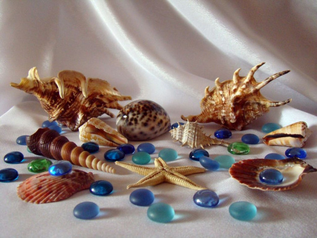 Обои картинки фото разное, ракушки, кораллы, декоративные, spa, камни