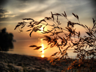 Картинка природа восходы закаты hdr облака пляж берег вода песок солнце штиль паутина ветка рассвет лето море