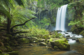 Картинка природа водопады деревья река лес камни скала